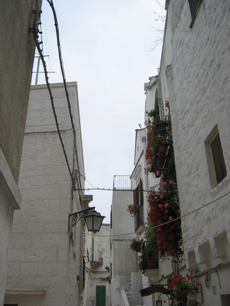 Cisternino Puglia www.trulliforsale.net by http://www.trullifor…