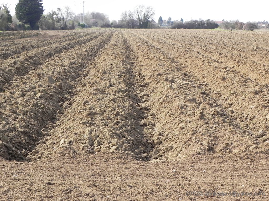 Wakering barling public footpath by donliddard