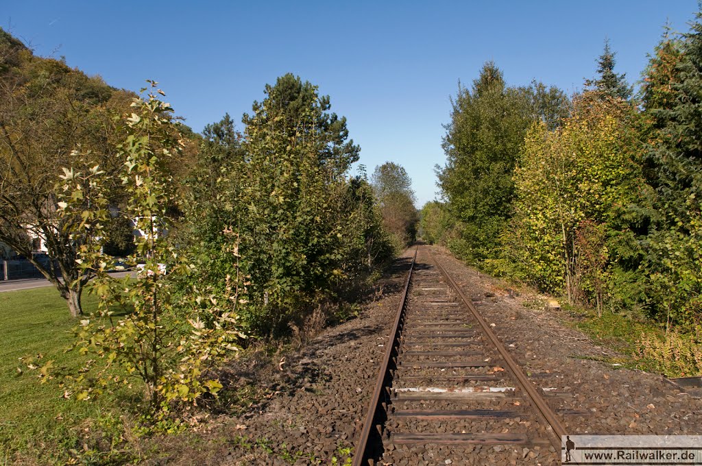 Hinter dem Bahnhof Zollhaus by Railwalker