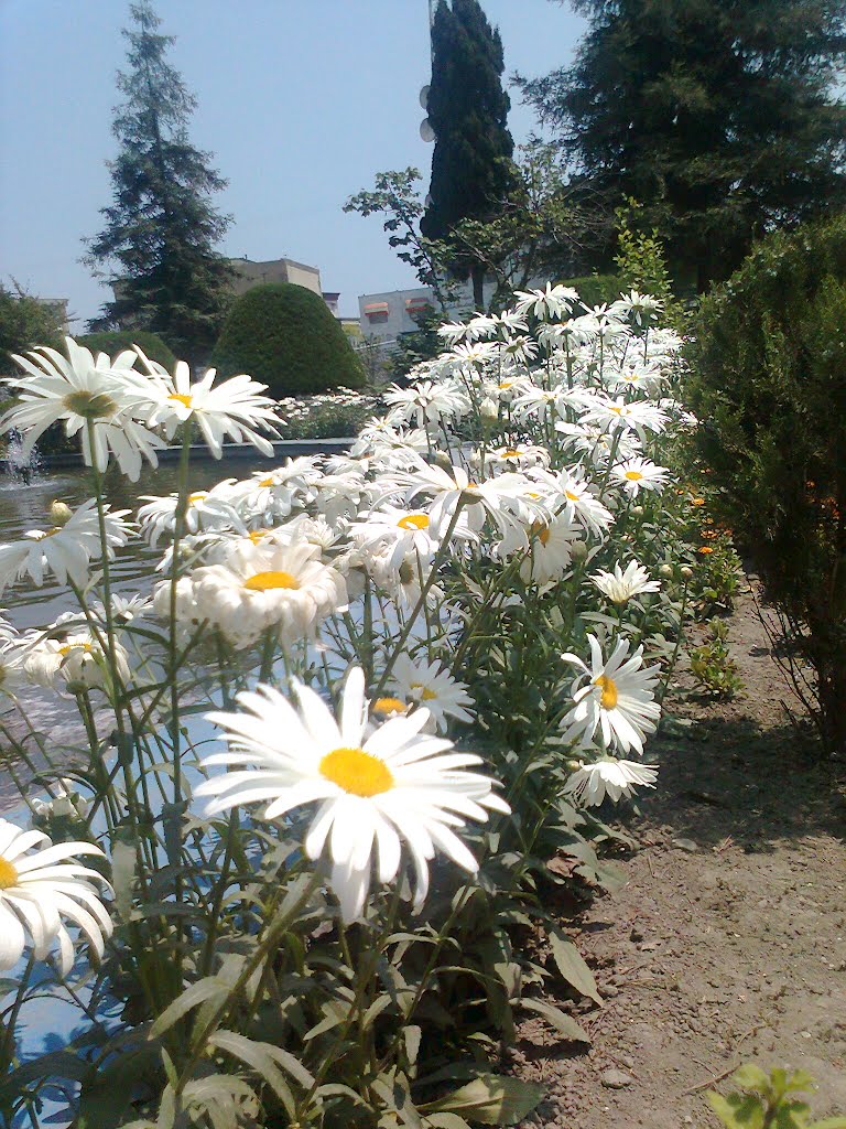 Mazandaran _ Amol Park , Hamid Reza Gholami by hamid reza gholami