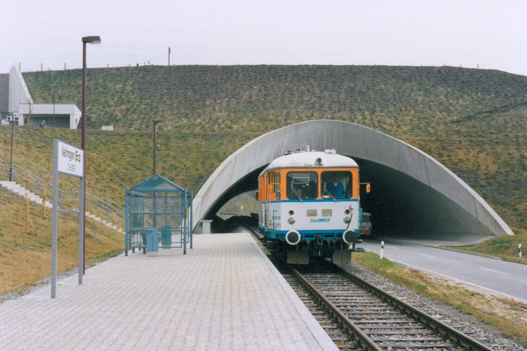 WEG: T 04 am Haltepunkt Vaihingen (Enz) unterhalb der DB-Neubaustrecke by Helgoland