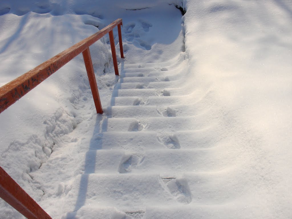 Fedoskivo. The steps to the river by DmitriyZ.ru