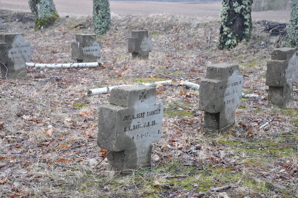 Liepāderu vācu brāļu kapi (Ehrenfriedhof Leepader) WWI, Dobelnieki, Tīnūžu pagasts, Ikšķiles novads, Latvia by M.Strīķis