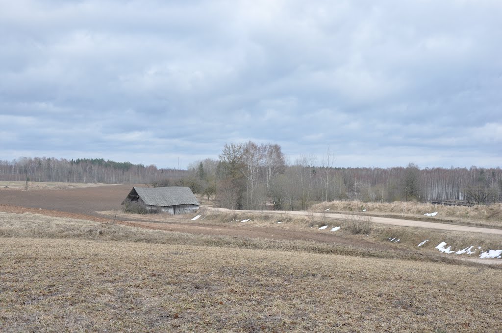 Tīnūžu pagasta ainava, Ikšķiles novads, Latvia by M.Strīķis