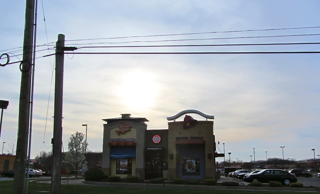 Taco Bell Restaurant by Adam Elmquist