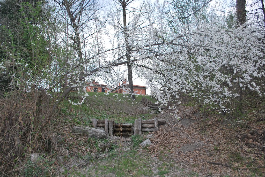 Monte San Pietro Parco del Lavino by GIORGIA