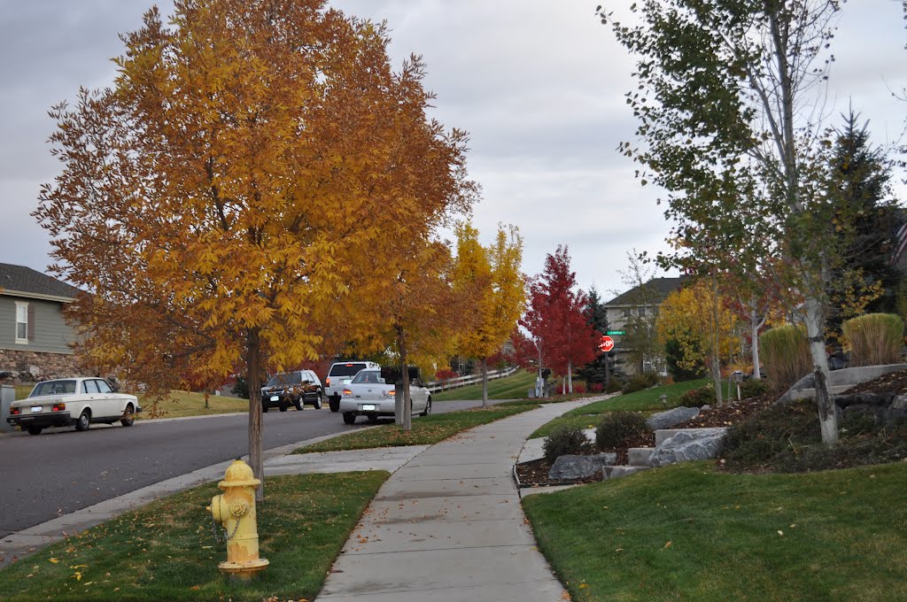 Nice Fall afternoon at Tallyns Reach by 24456EFremont