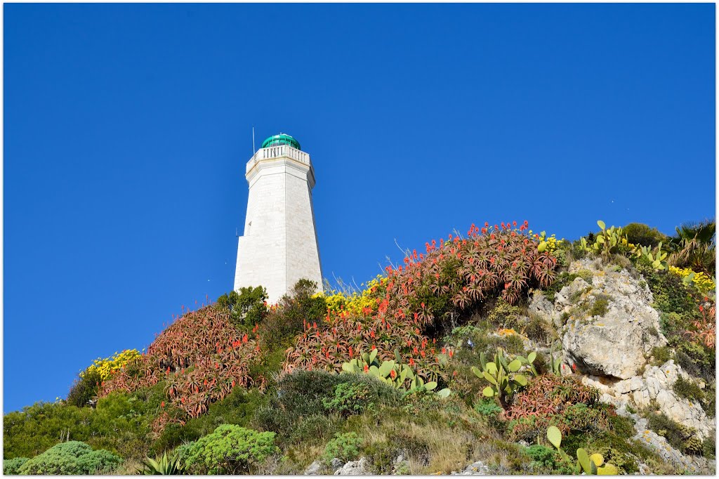 Le Phare de Saint-Jean-Cap-Ferrat en Janvier 2012 by violapinnata