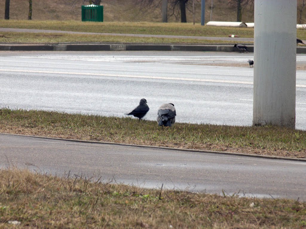 Akademitcheskaja str., Minsk, 25-03-2012 by se_bmw