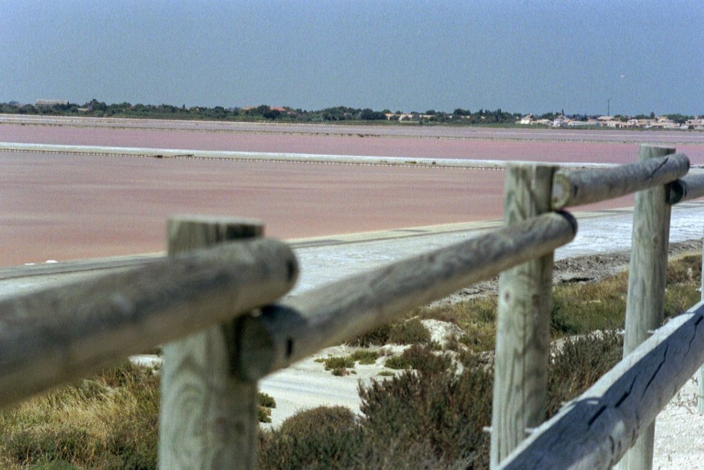 Les Salins de Giraud by Hedwige Rignol