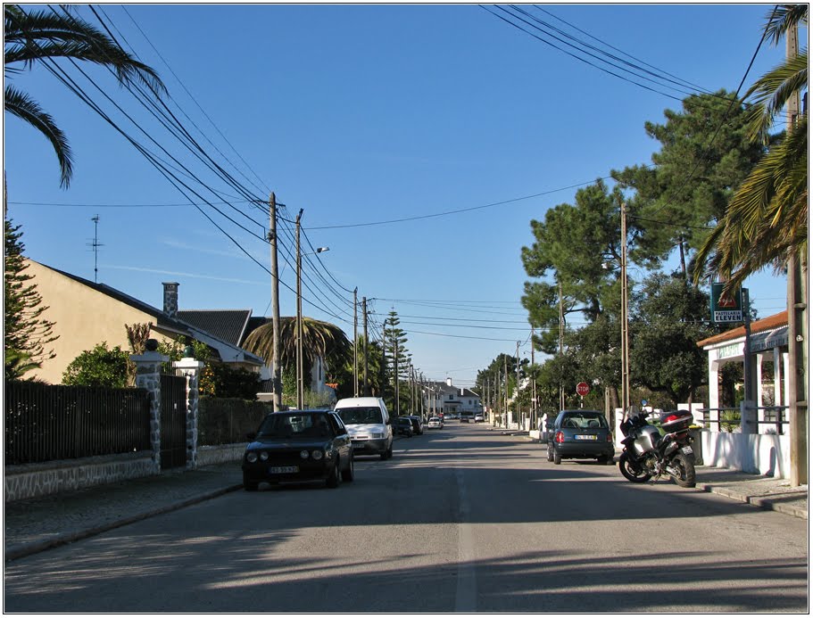 Rua das Giestas by Barragon