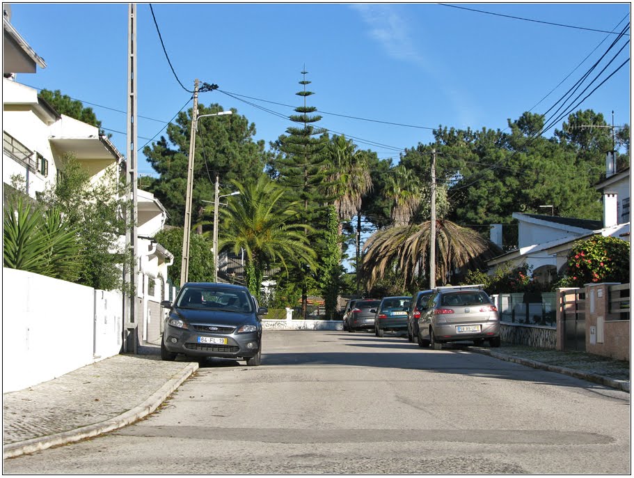 Rua dos Fetos by Barragon