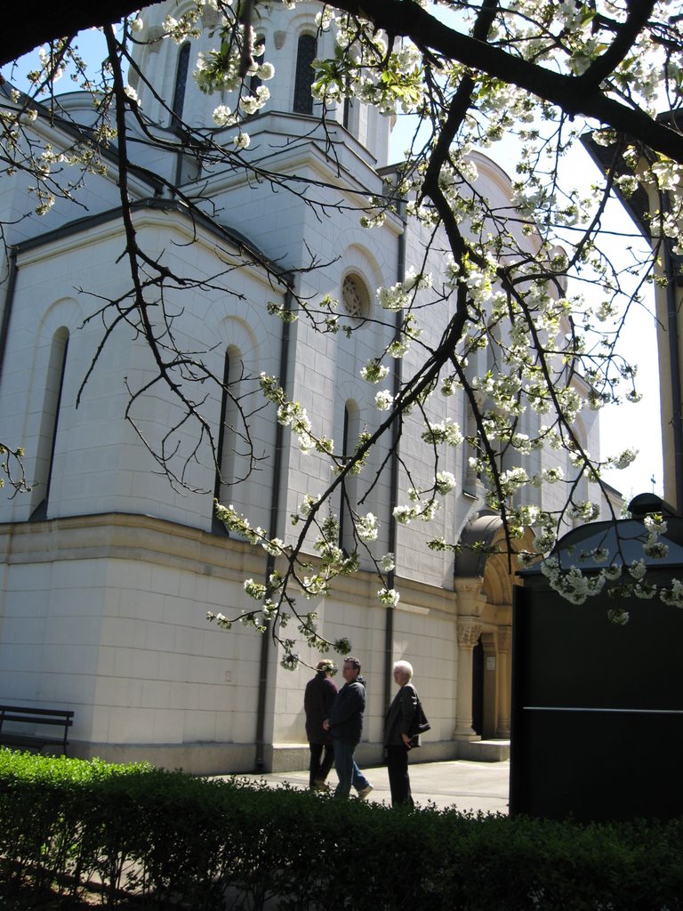 Beograd-Manastir Vavedenje by sonjabgd