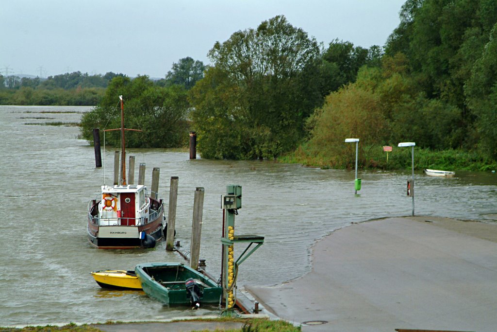 Hochwasser im Haseldorfer Hafen by Juliane Herrmann