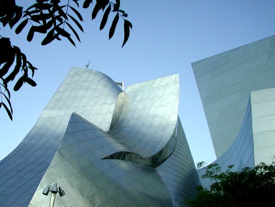 Los Angeles: Walt Disney Concert Hall Arch. F.O. Gehry by Arne Person