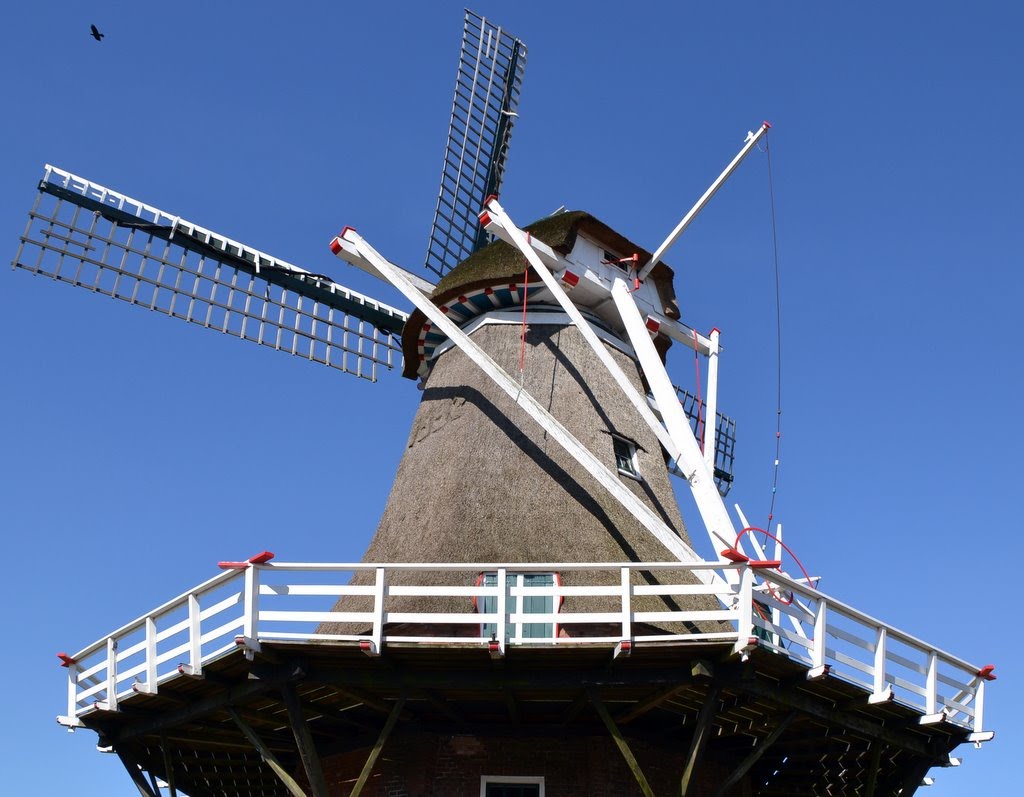 Korenmolen De Germania by molenfotograaf (mill photographer)