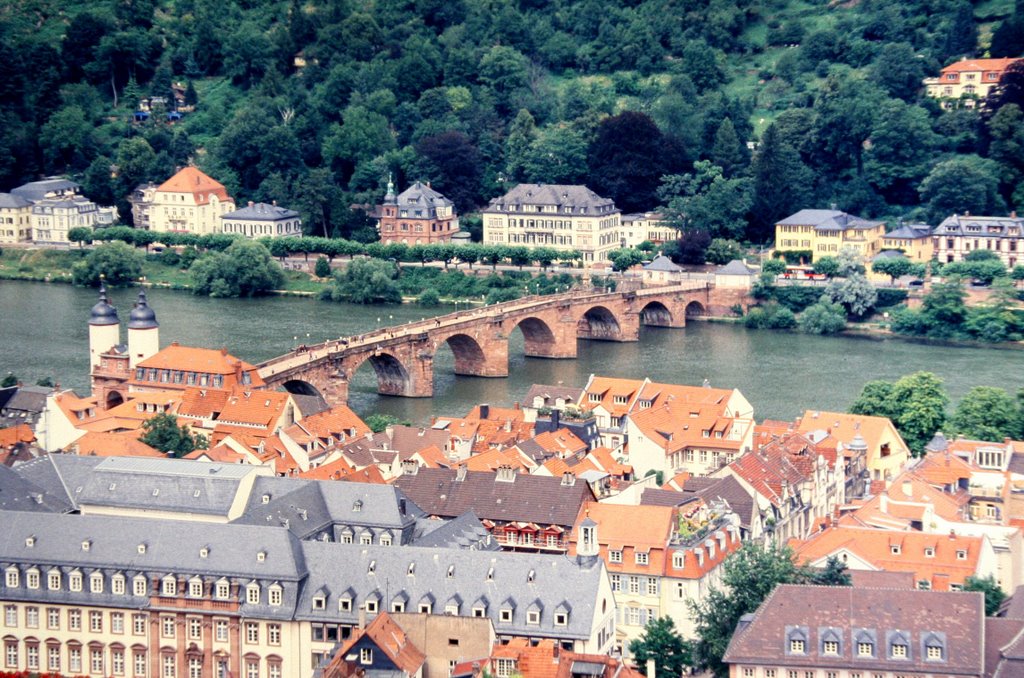 Heidelberg Puente karl Theodor by Lamzarg