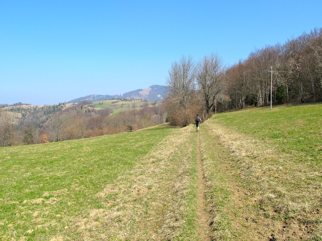 Le Plateau Occidental du Vercors vers Morel 25.03.2012 by Jean-Luc.