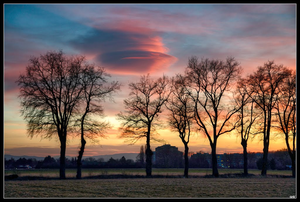 Red Cloud by wx