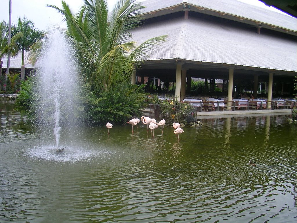 Main Restaurant Iberostar Bavaro by Delta-