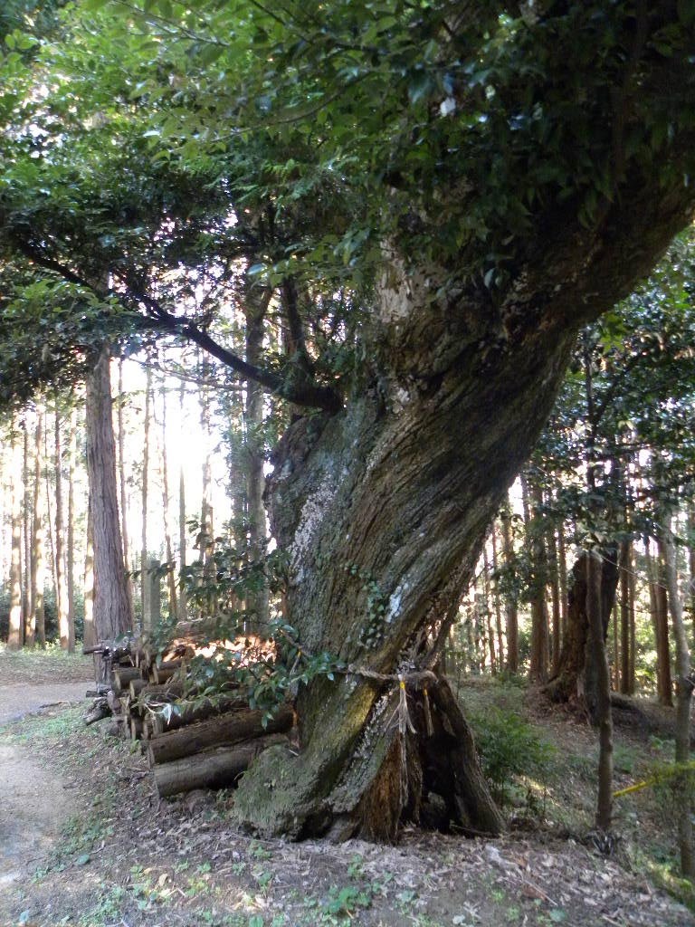 三重県亀山市　江神社 by gharbha