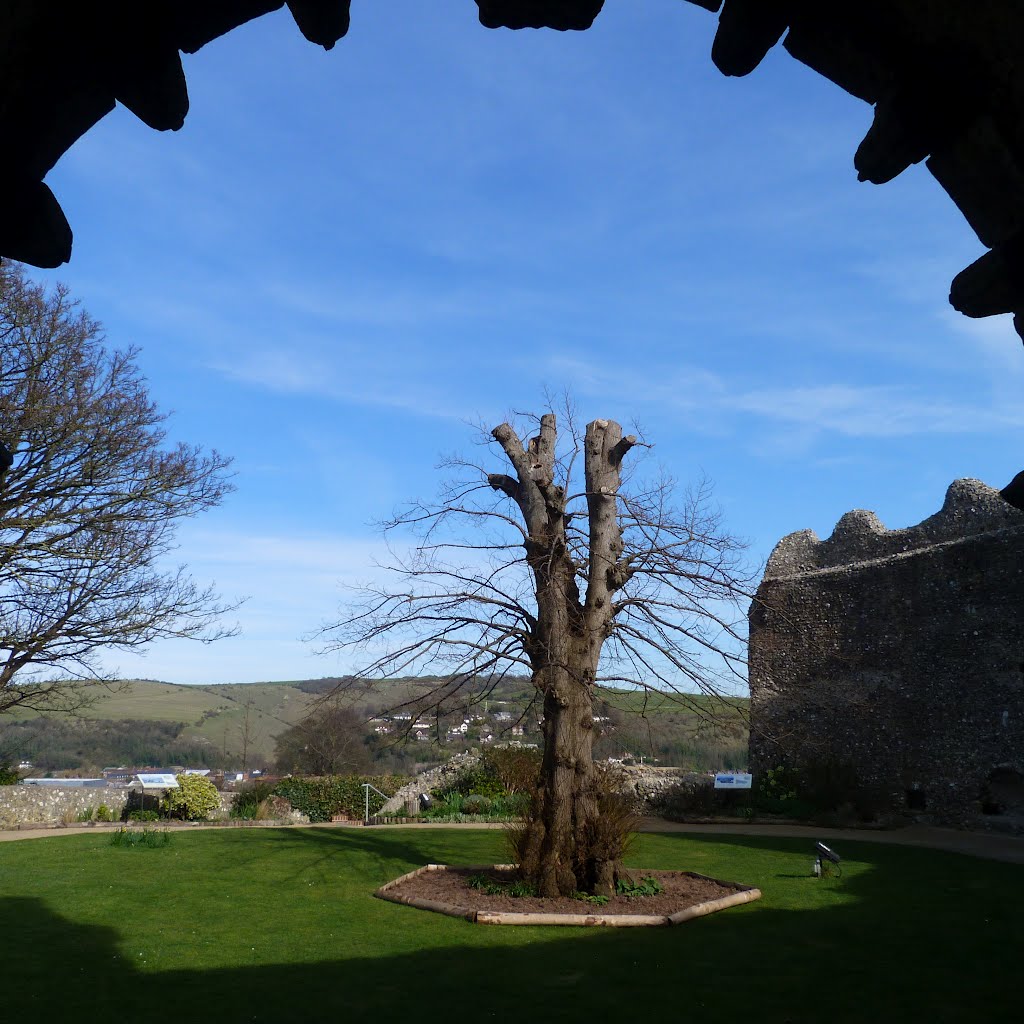 Lewes Castle by shariain