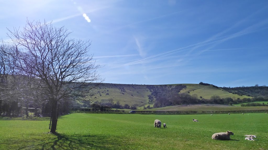 The South Downs from Plumpton College. by shariain