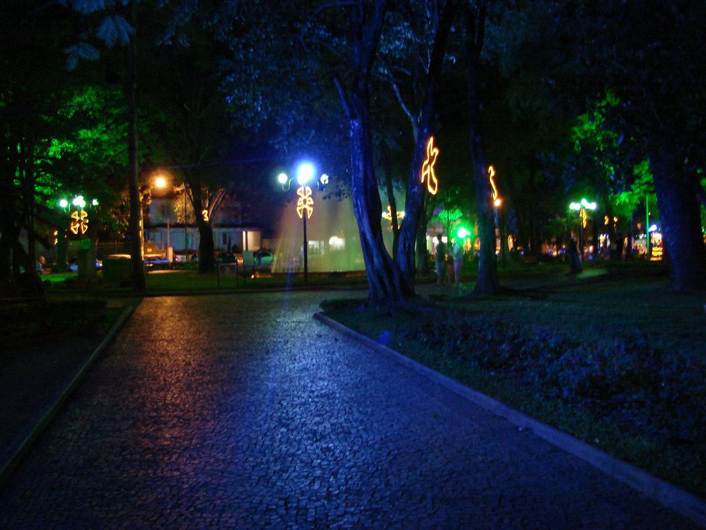 Praça Dr. Augusto Silva - Iluminação de Natal by ggas