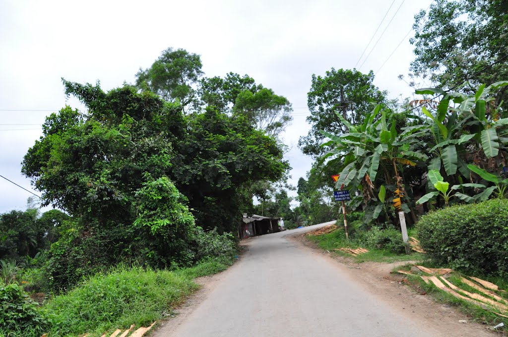 Lăng Minh Mạng- Huế 2012 (đường vào lăng) by quangduc20