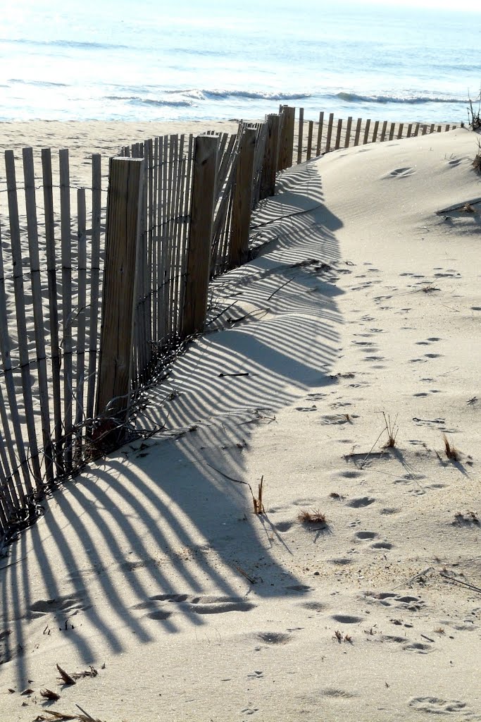 Sand beach fence shadows by Geraldine Clark