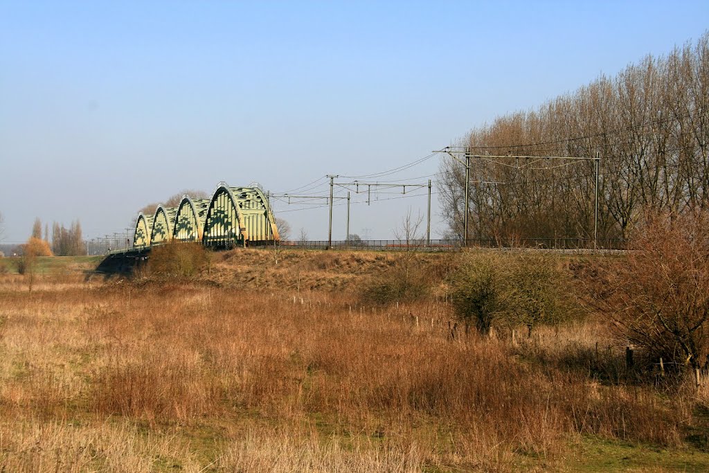 Ravenstein - Maasdijk : Spoorwegbrug Edith over de Maas by Scholte