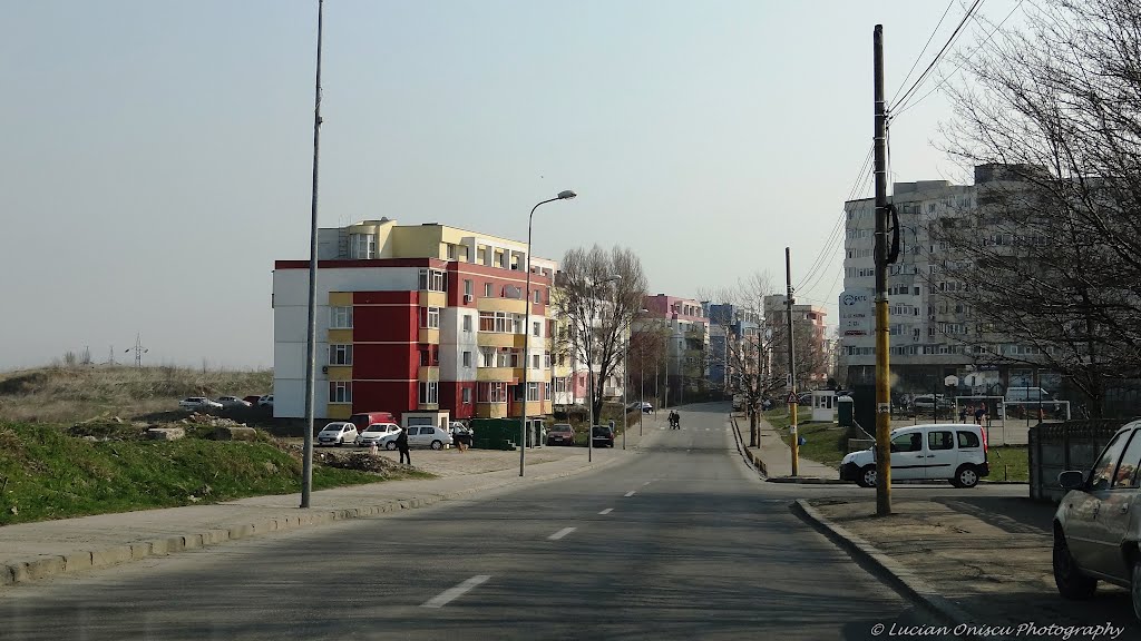 Constanta, Romania - Brizei St. by Lucian Oniscu