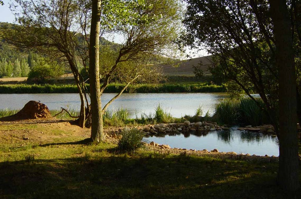 Fuente de la Gallina by Rosa del Hoyo