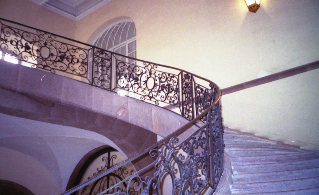 Senones: Palais abbatial: escalier en fer forgé de Jean Lamour by girodpi