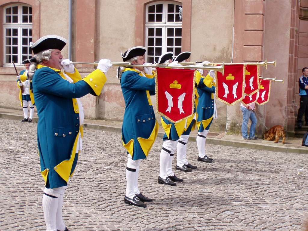 Senones: Relève de la Garde des Princes de Salm by girodpi