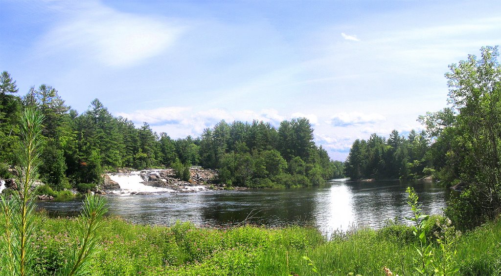 Wilson Falls Muskoka River by shogoogle