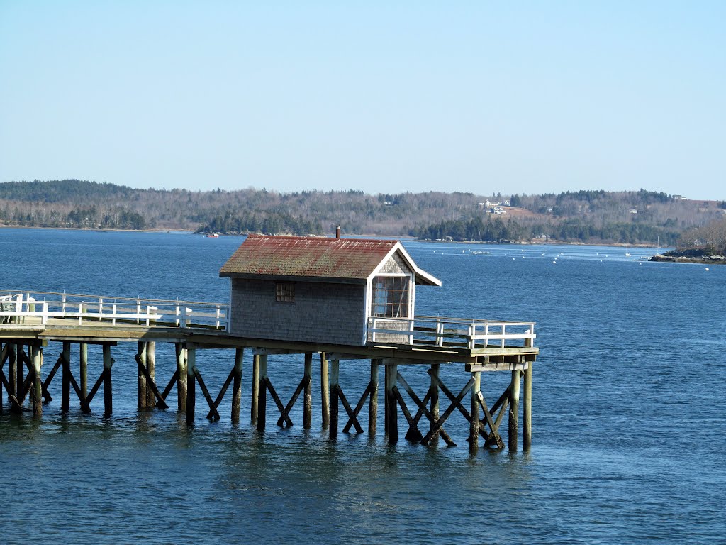 Castine Harbor. View from Perkins Street. by MementoMori