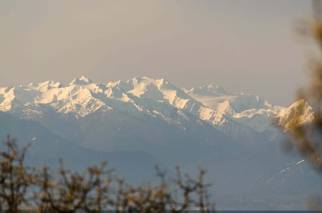 Olympic Mountains from my bedroom window by Adamio