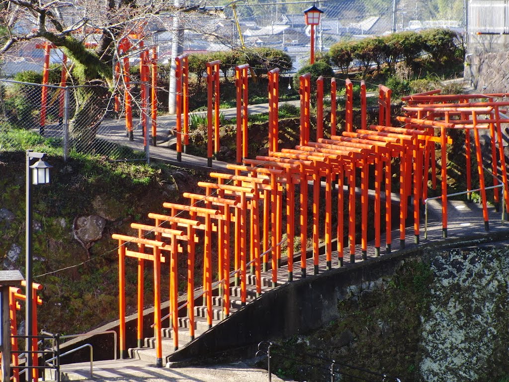 卯寅稲荷神社"百本鳥居" by 小西 天