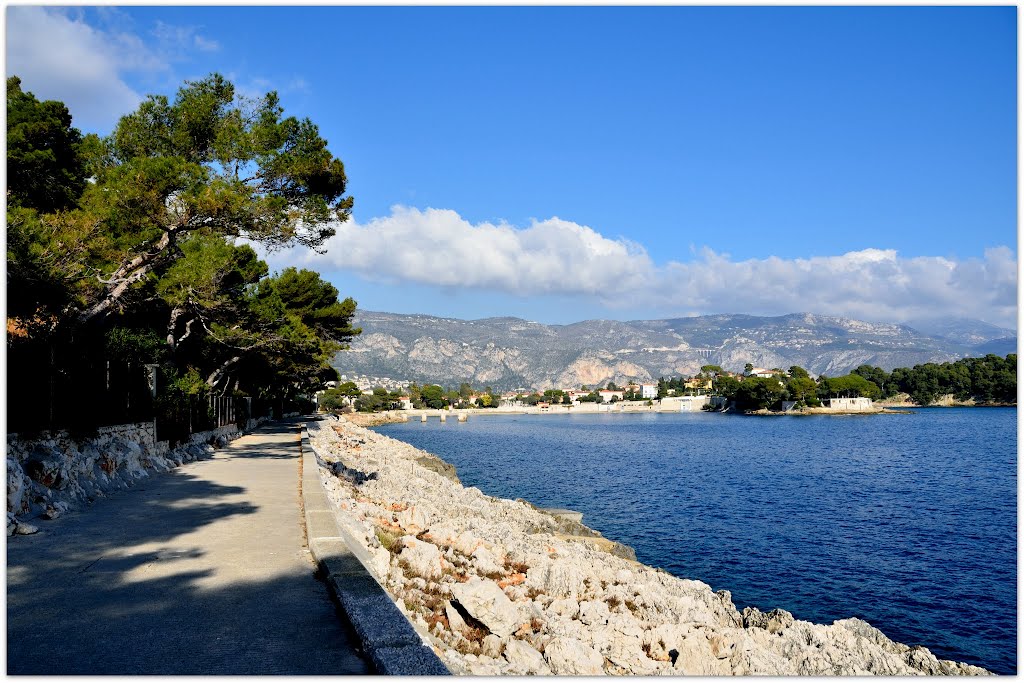 Le Chemin de la Carriére et l'Anse de Liong (Janvier 2012) by violapinnata