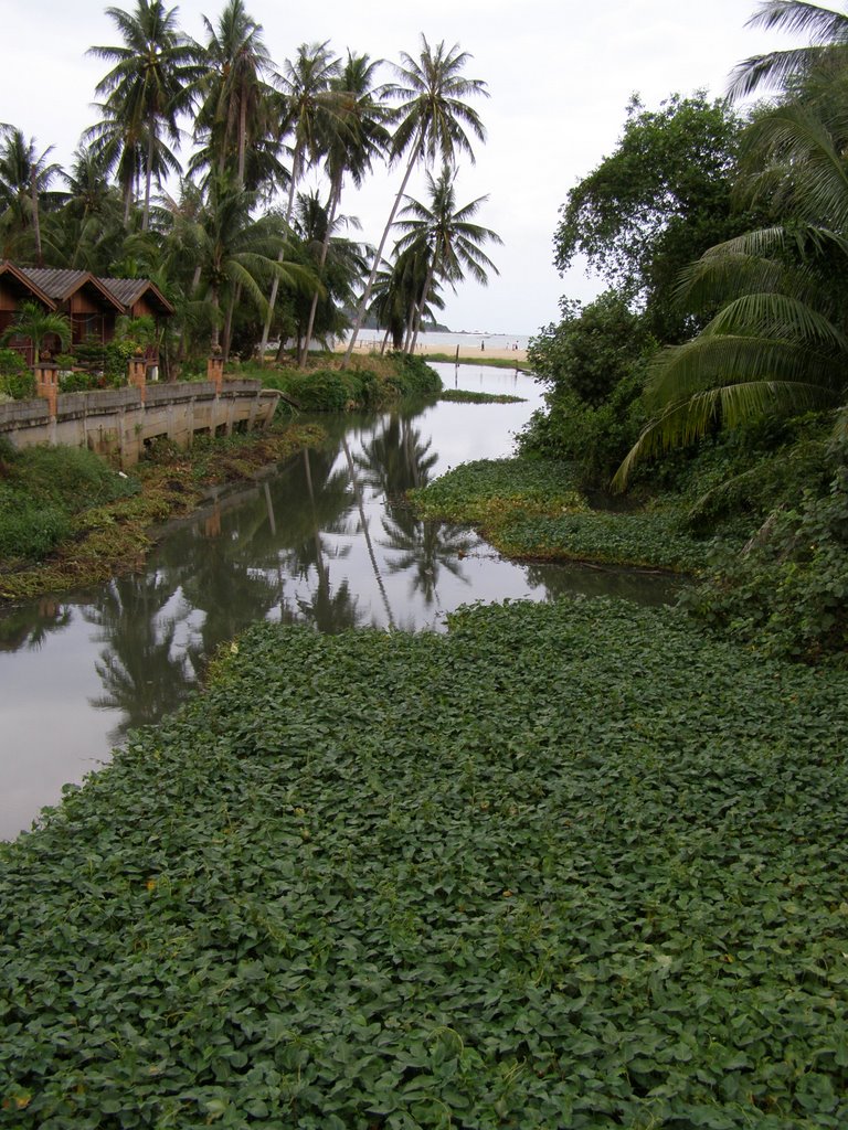 River in Lamai by Carol Jadzia