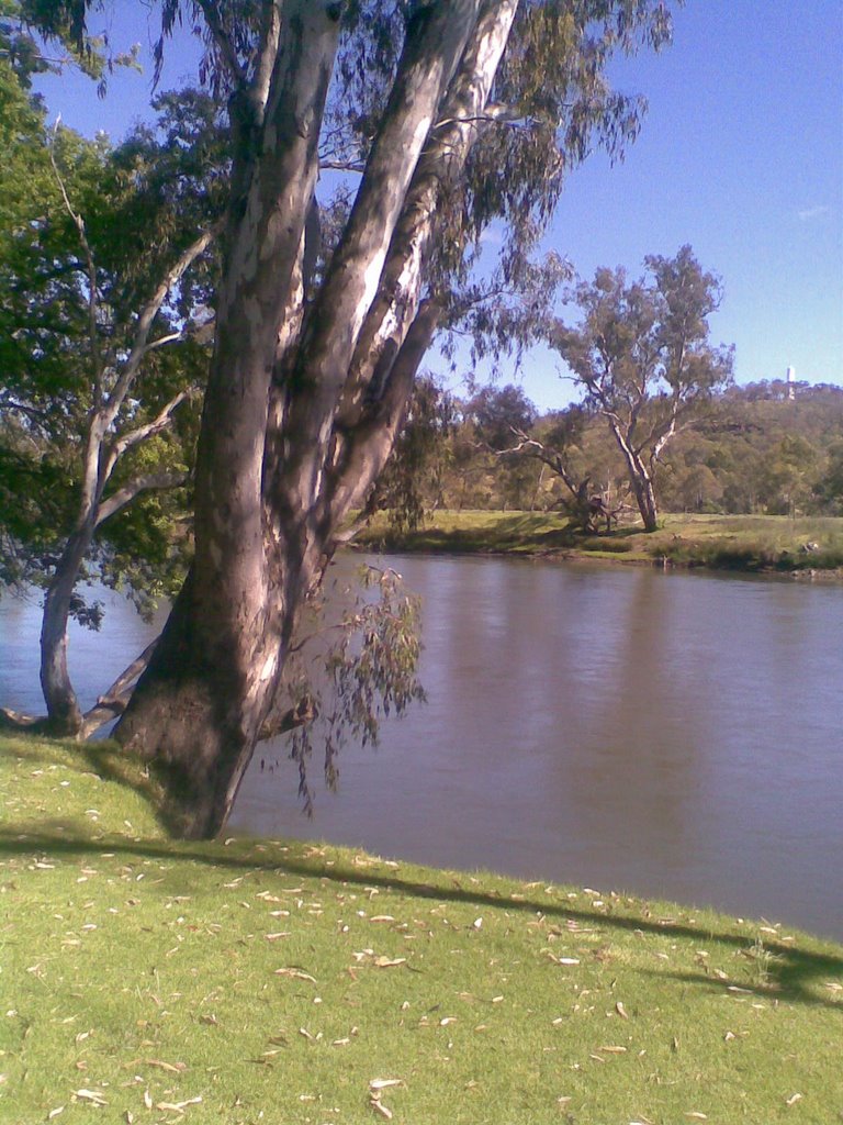 Murry River at Albury by dodd1990