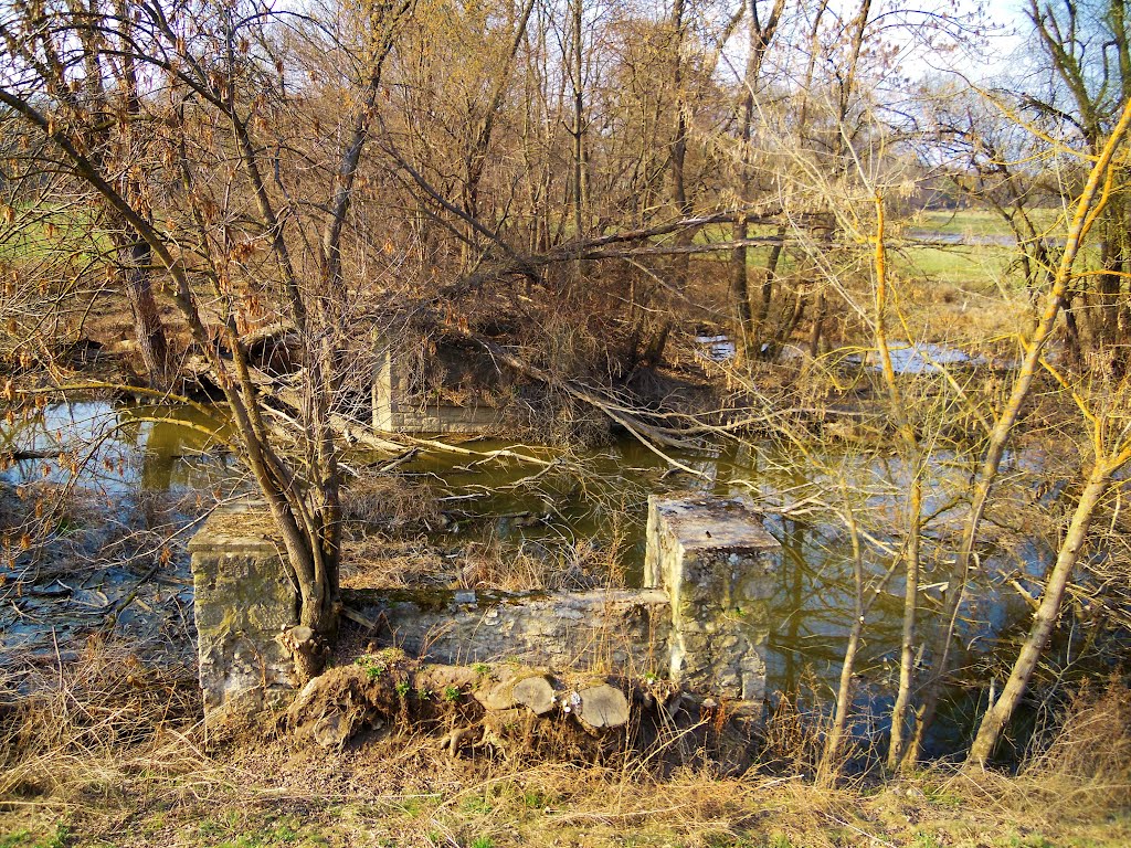 MARCHEGG ; Reste einer Brücke vom Schloss zum Auwald . ( 24. III. 2012 ) by Don.Ebro