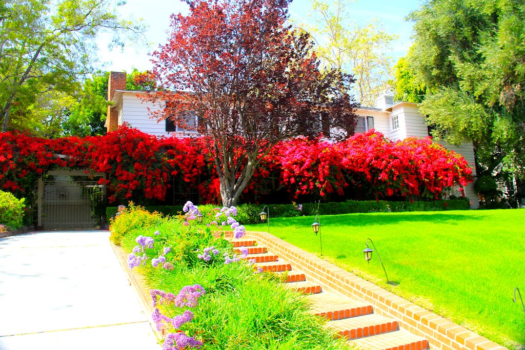 A home in Hancock Park, Los Angeles, CA by MICHAEL  JIROCH  &  www.michaeljiroch.com