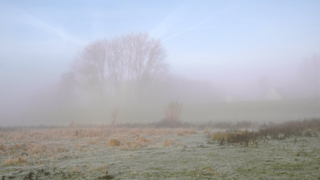 Uiterwaarden in de mist bij Wageningen by Margaritha