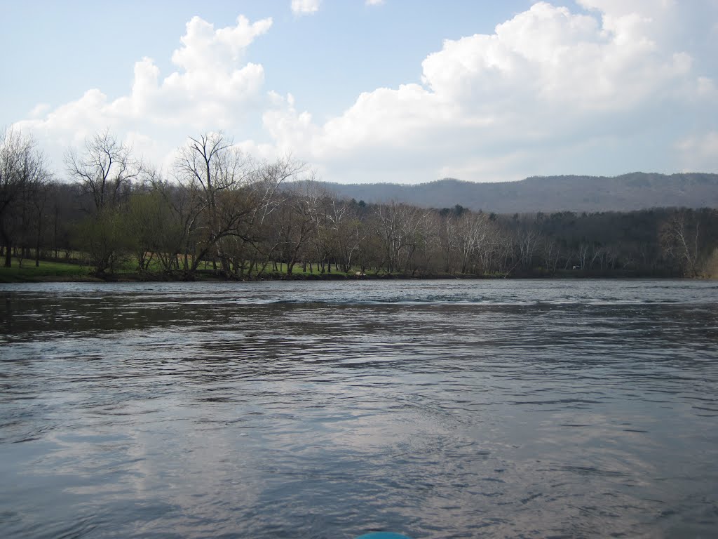 Green grassy field in the shore of the shenandoah by midatlanticriverrat