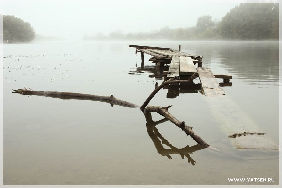 Morning fog by yatsen