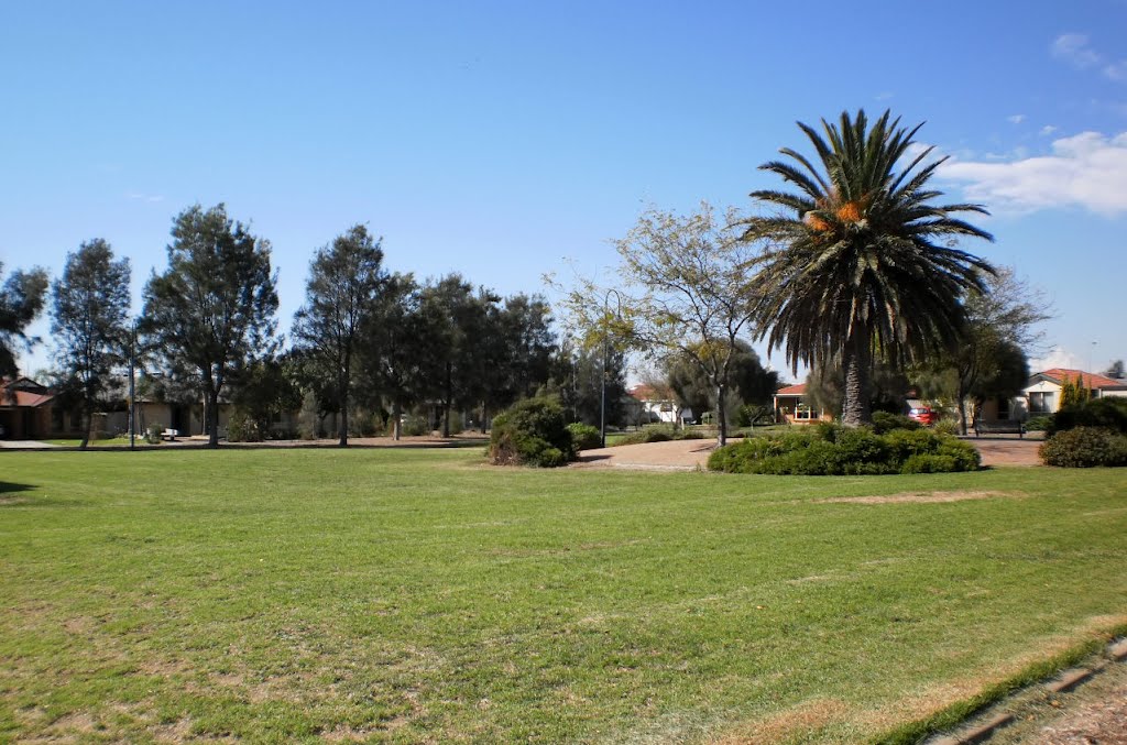 Reserve with date palm by Phaedrus Fleurieu