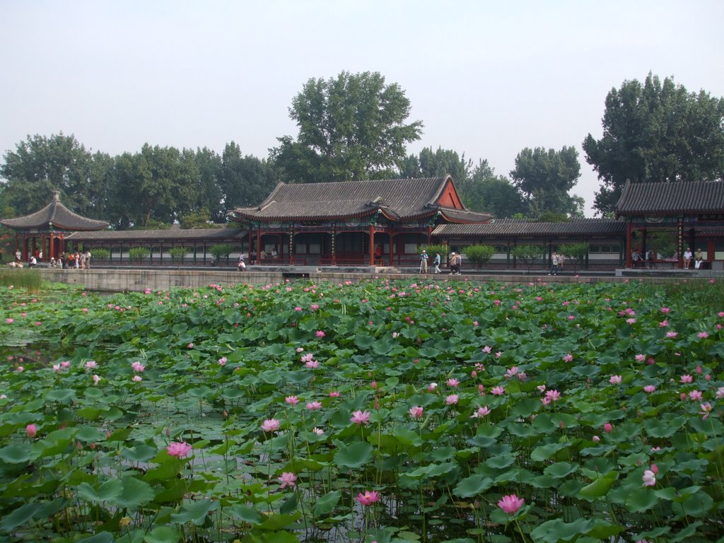 Sp-aa1 Beijing-Summer Palace 颐和园夏 by Da Wu