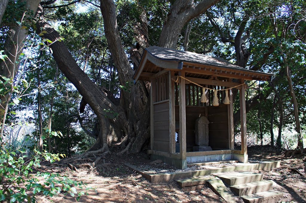 愛宕神社 -Atago Shrine- by Saruman8000